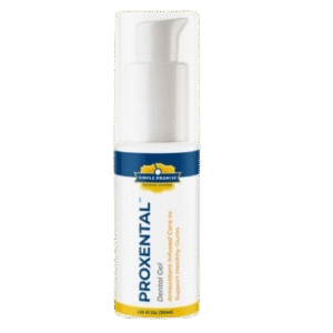ProXental