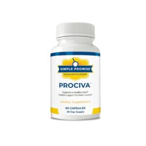 Prociva